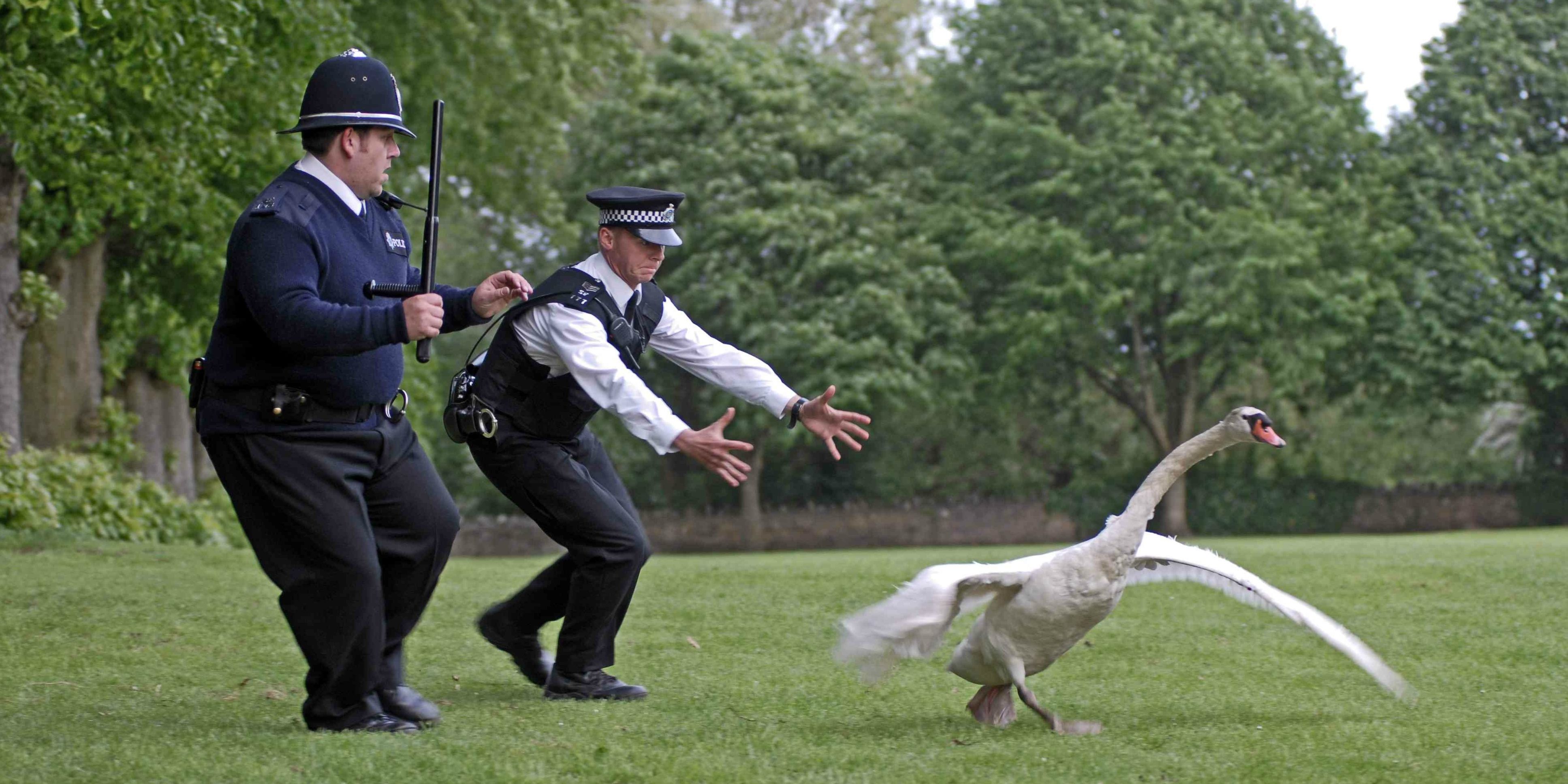 Chasing a swan in Hot Fuzz