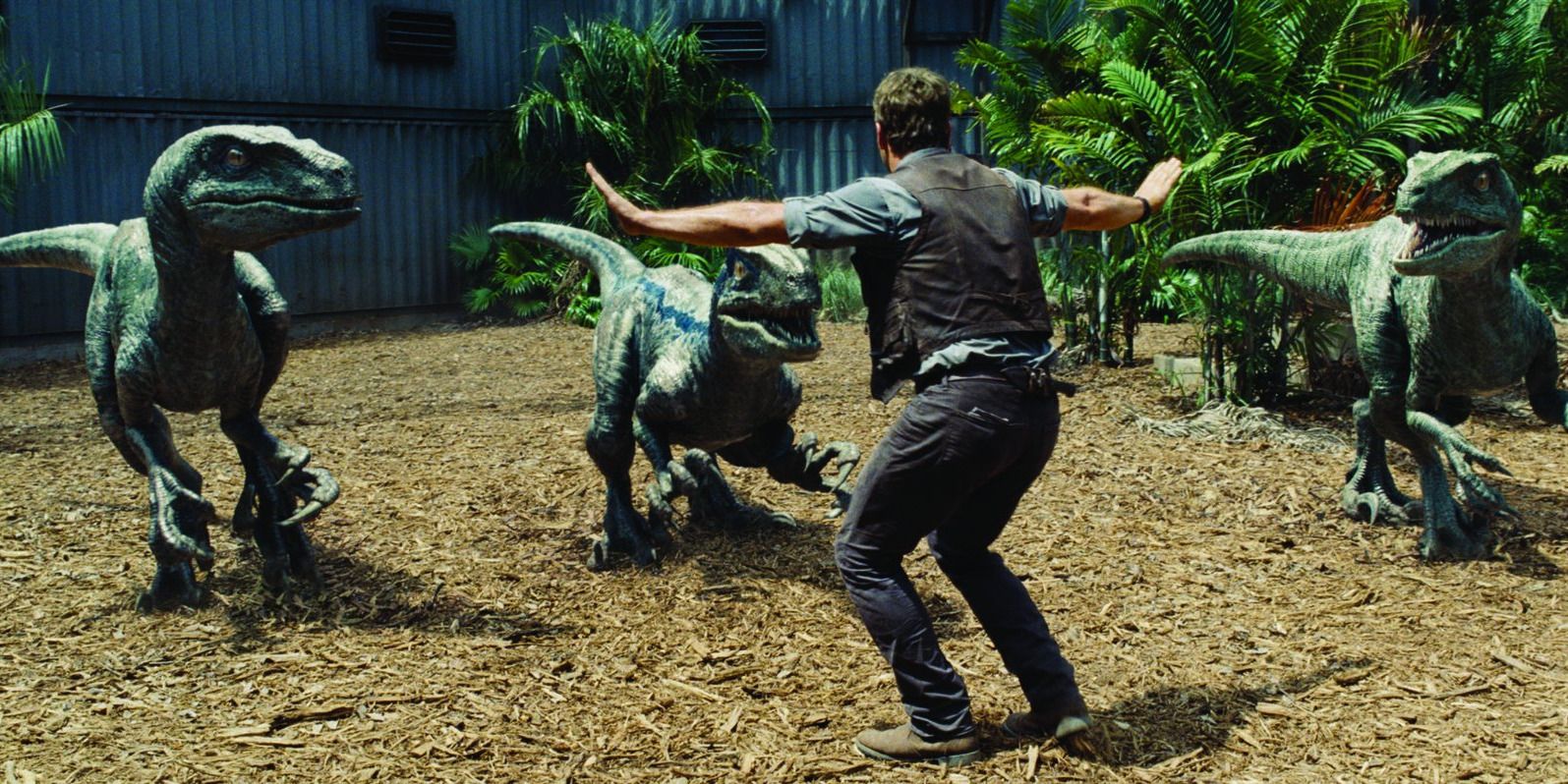 Owen trains the raptors in Jurassic World