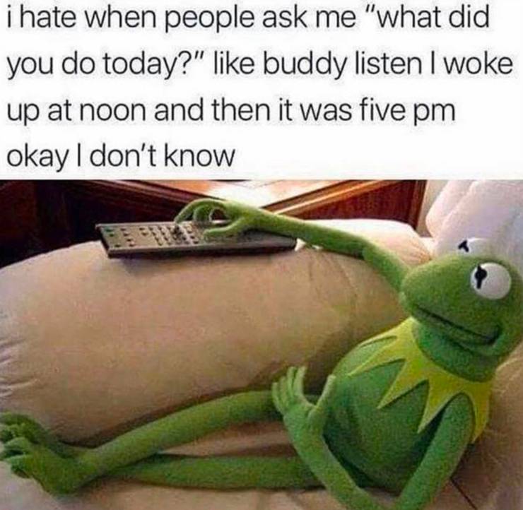 Muppets 10 Funniest Kermit The Frog Memes Screenrant