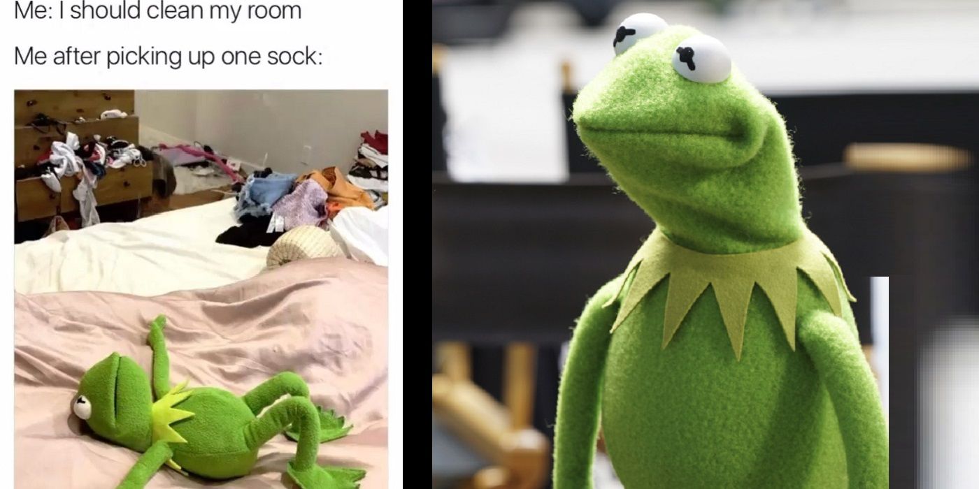 kermit the frog scrunched face