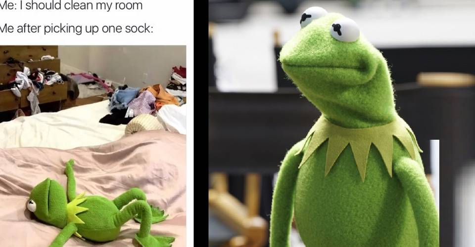 Muppets 10 Funniest Kermit The Frog Memes Screenrant Muppets 10 Funniest Kermit The Frog Memes Screenrant