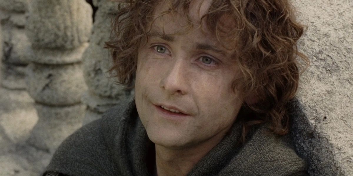 Merry looking sad in The Lord of the Rings
