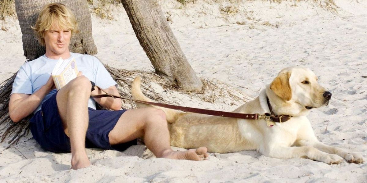 John and Marley on the beach in Marley &amp; Me.