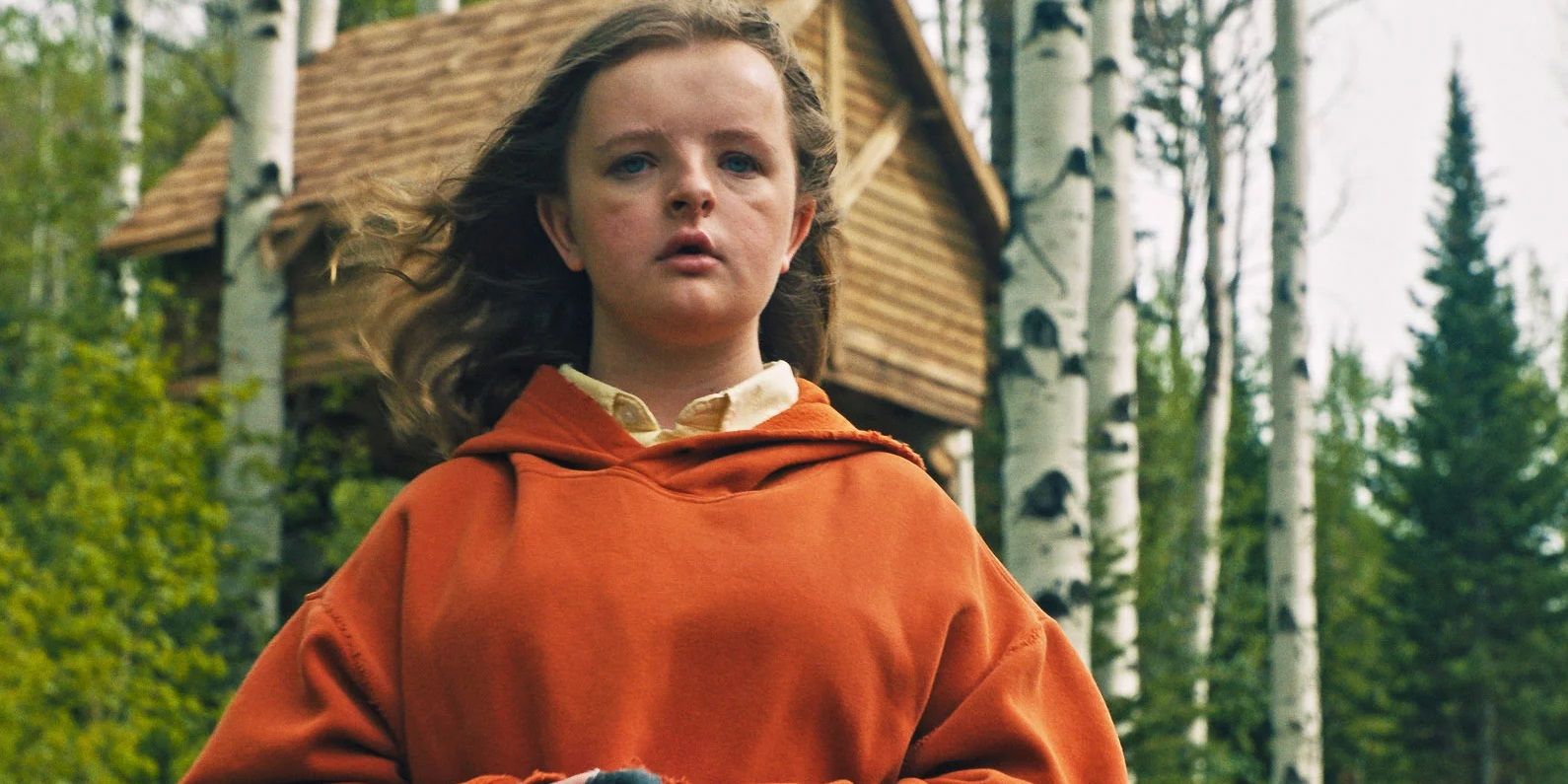 Ari Aster: The 5 Best Performances In Hereditary (& 5 In Midsommar)