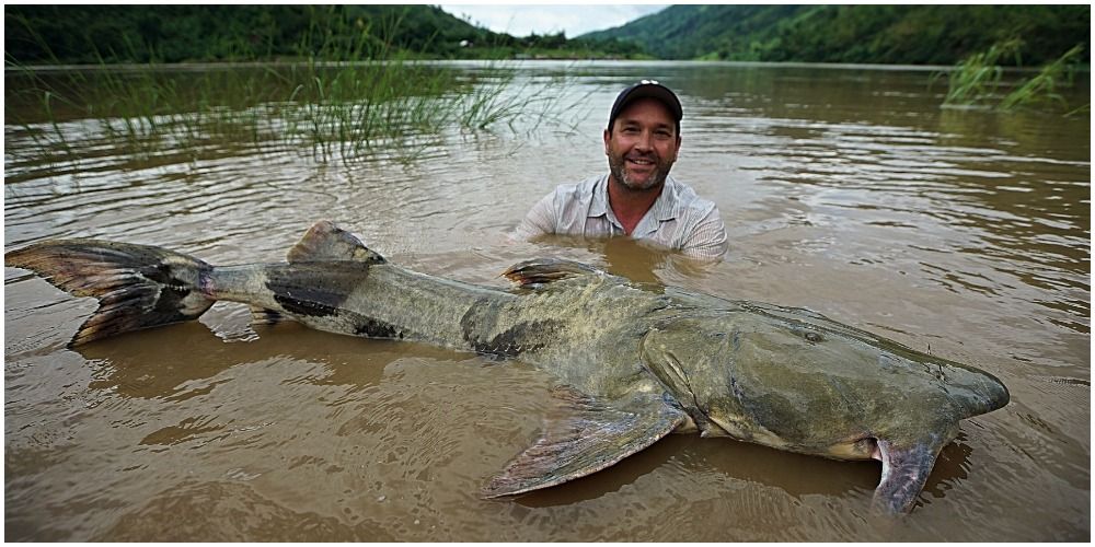 Zeb Hogan With Giant Fish In River