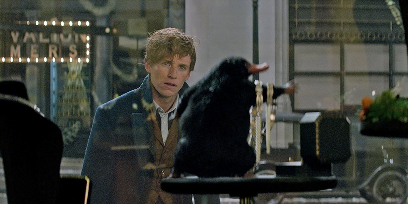 Newt Scamander sees his Niffler stealing gold in a shop window