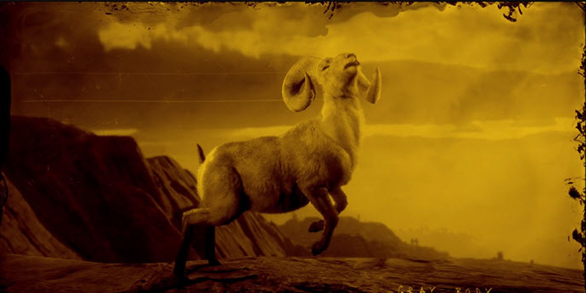Red Dead Online Legendary Chalk Horn Ram
