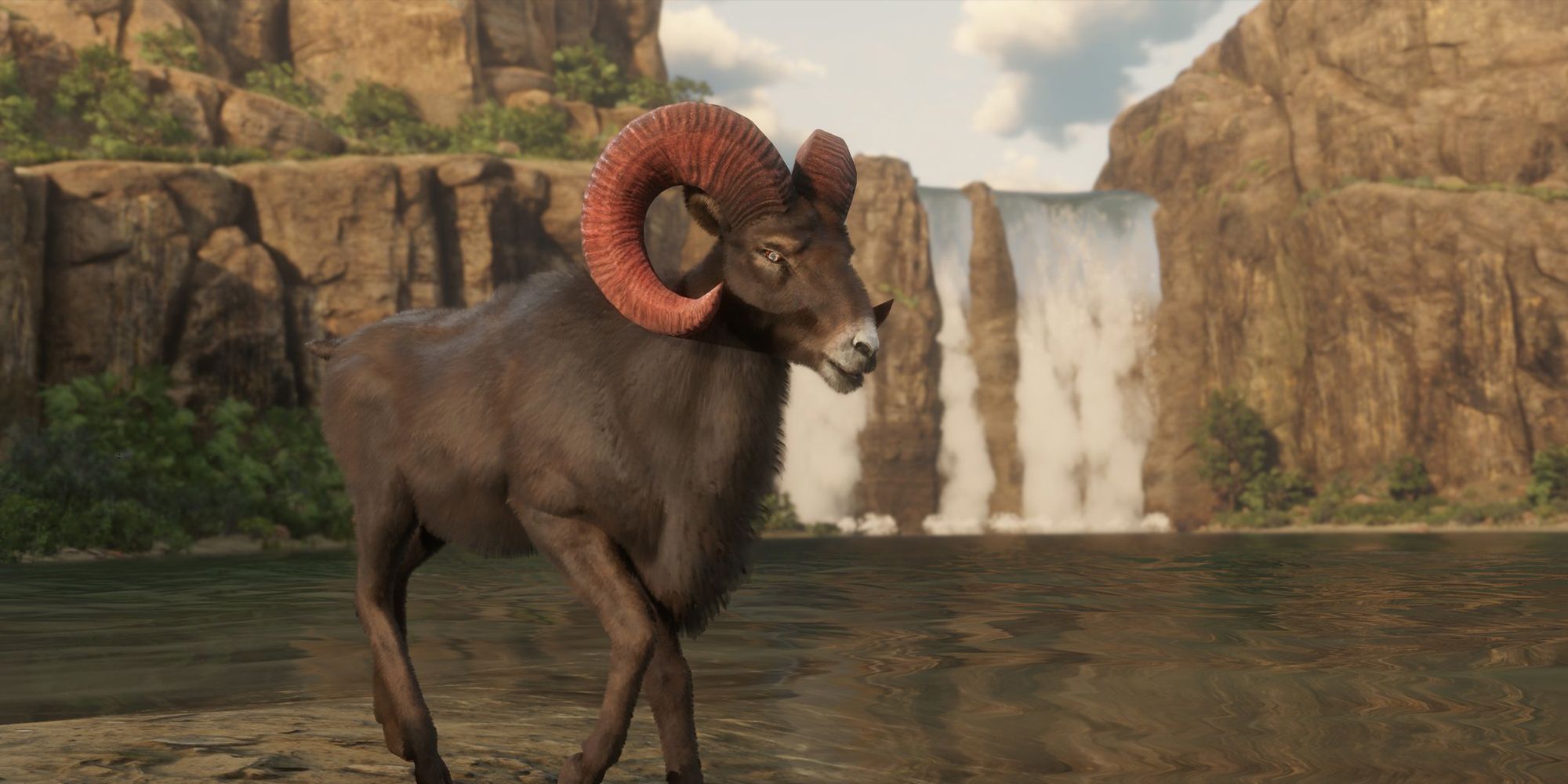 Where Find Legendary Horn Ram in Red Dead Online
