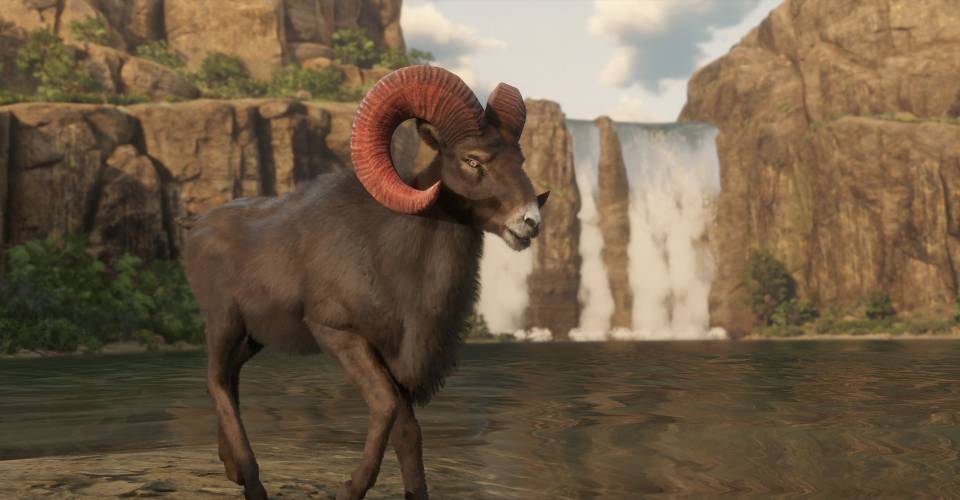 Where To Find The Legendary Rutile Horn Ram Location In Red Dead Online