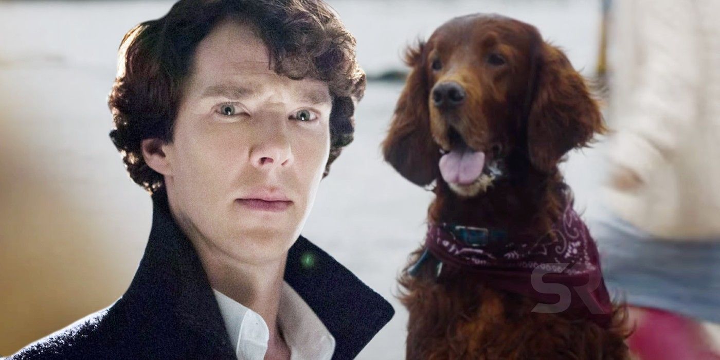 Sherlock Redbeard backstory dog twist explained