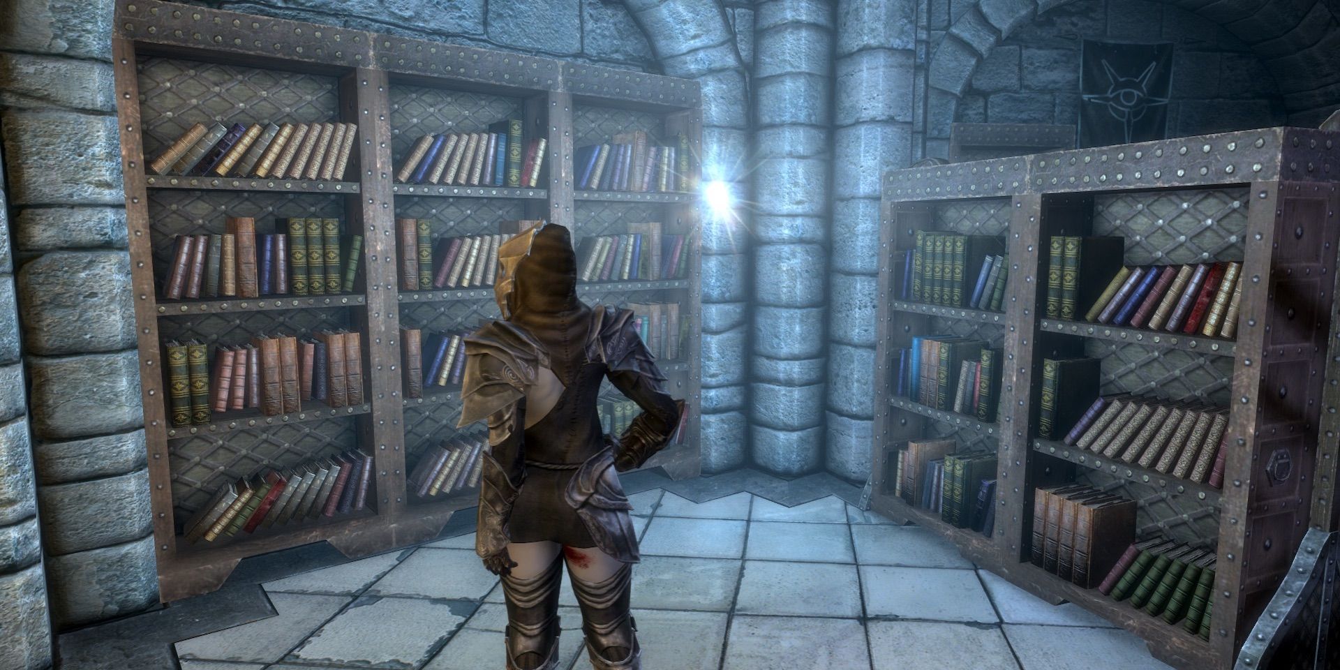 Skyrim Book Library