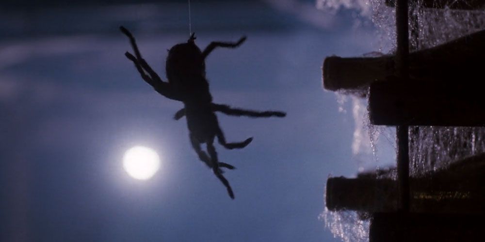 10 Scariest Spiders In Horror Movies, Ranked