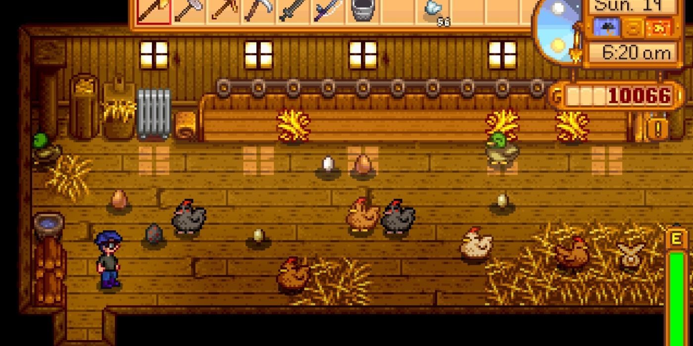 Stawdew Chicken Farming Splash