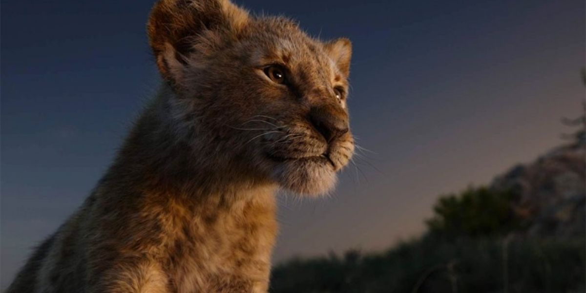 CGI Simba in The Lion King (2016)