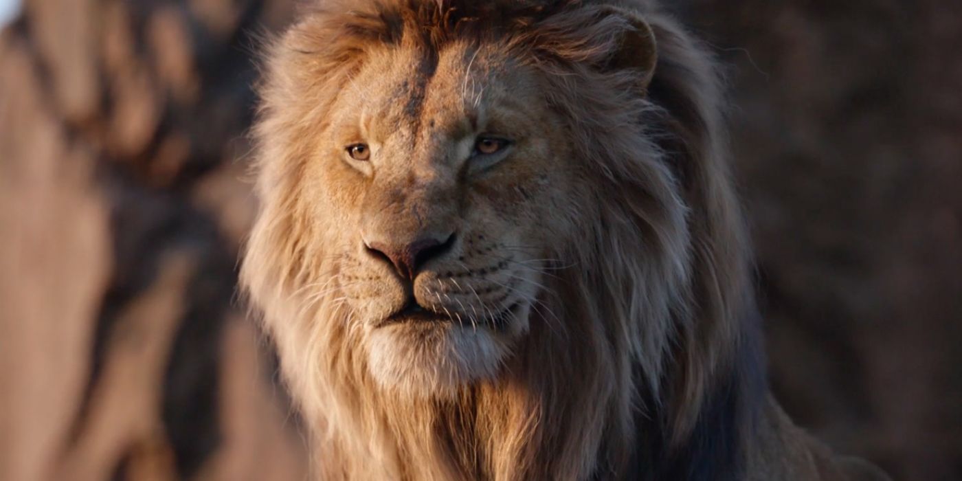 The Lion King 2 Mufasa's Origins & Backstory Explained