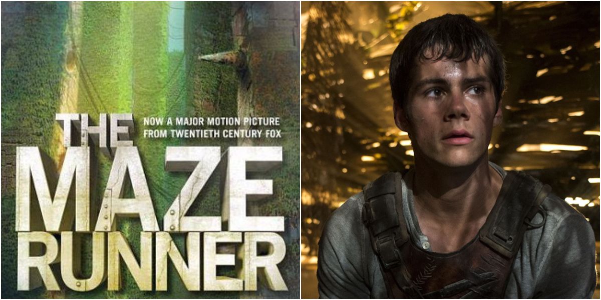 Dylan O'Brien in main role for film adaptation of The Maze Runner book