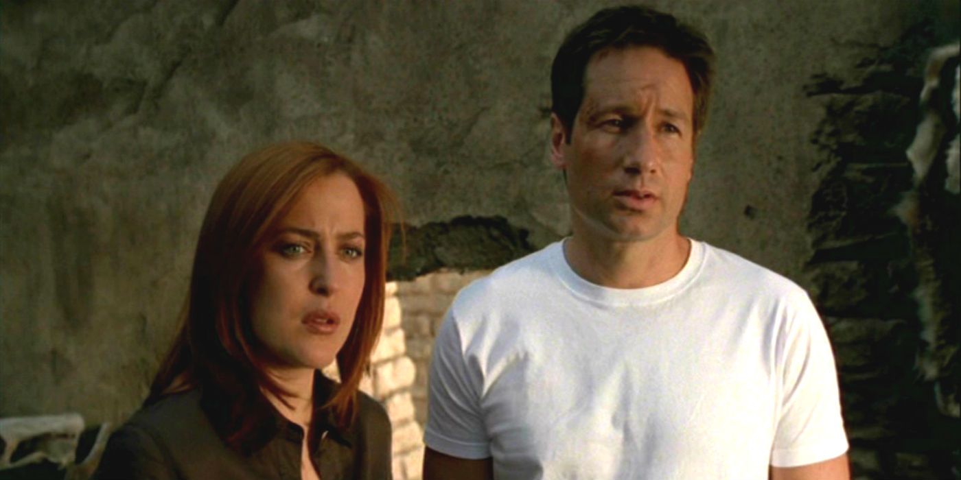 The X Files Mulder and Scully in Season 9 Finale