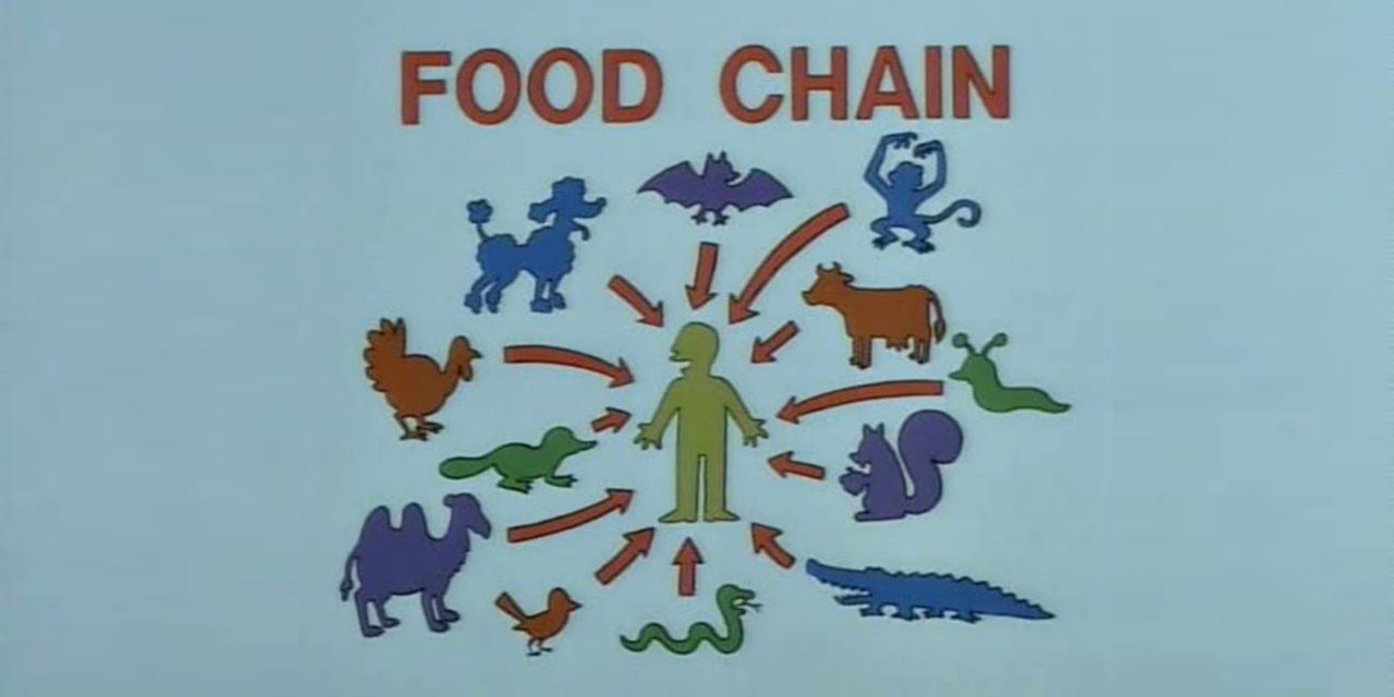 The food chain in The Simpsons