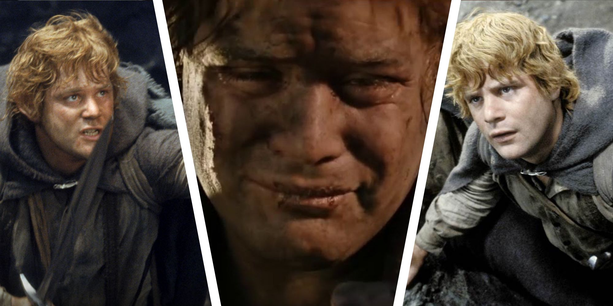 Lord of the Rings Samwise Gamgee