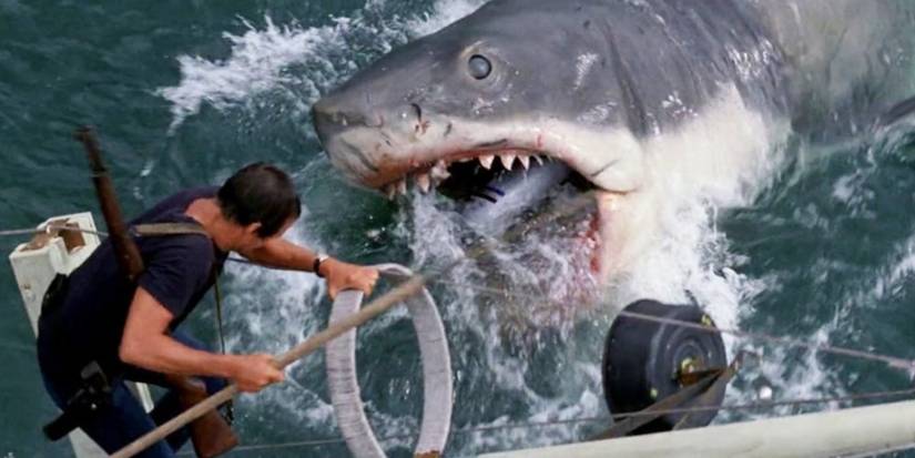 Jaws The Revenge, Poster Original 27x40