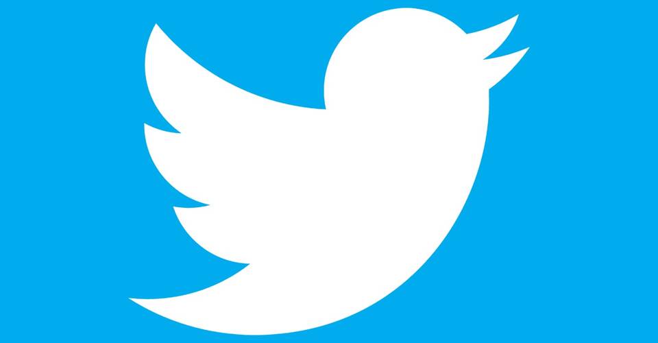 Why The Twitter Logo Is A Bird Called Larry Screen Rant