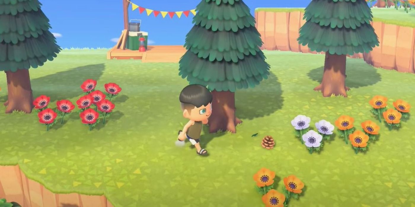 Animal Crossing Pinecone