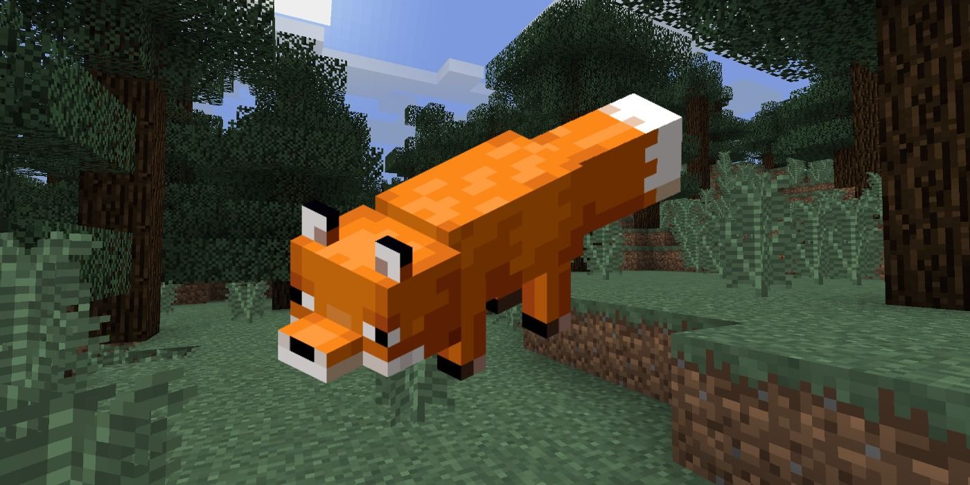 How To Tame A Fox In Minecraft?