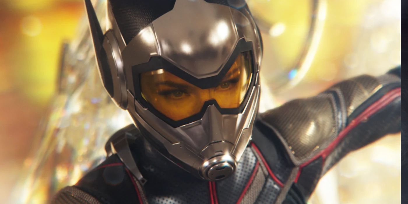 Wasp