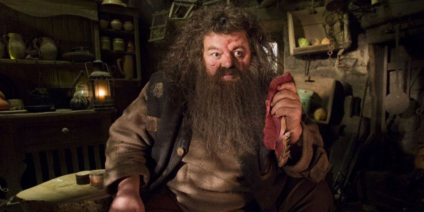 Wounded Hagrid