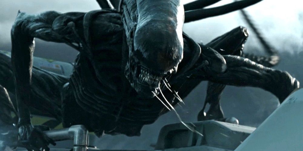 Xenomorph in Alien Covenant