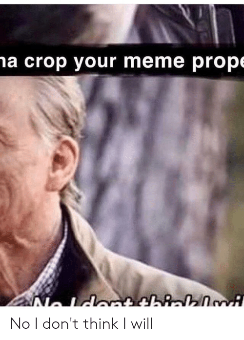 a-crop-your-meme-prop-no-i-dont-think-i-57336339