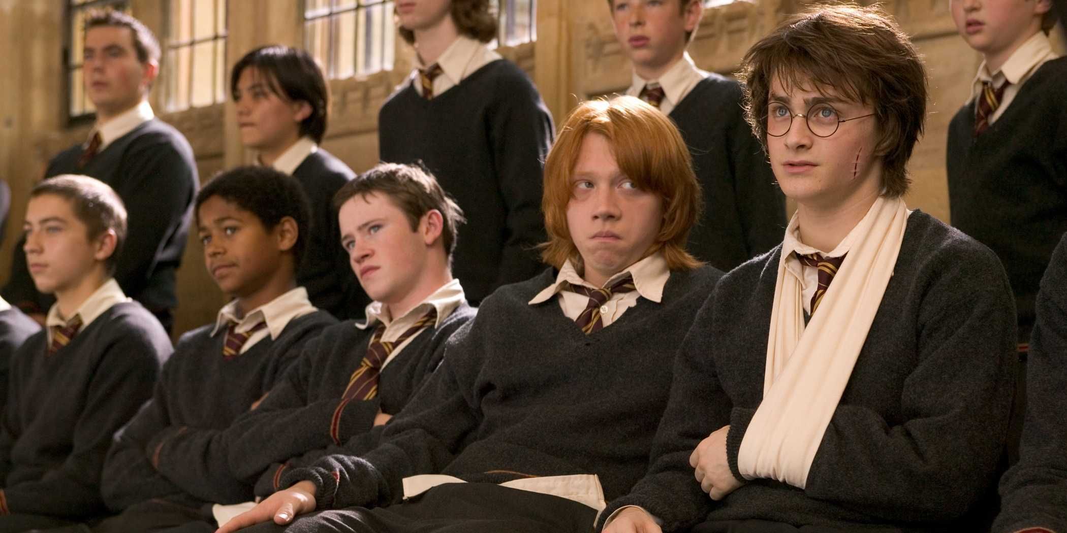 /wordpress/wp-content/uploads/2020/09/gryffindor-libra-cooperative.jpg