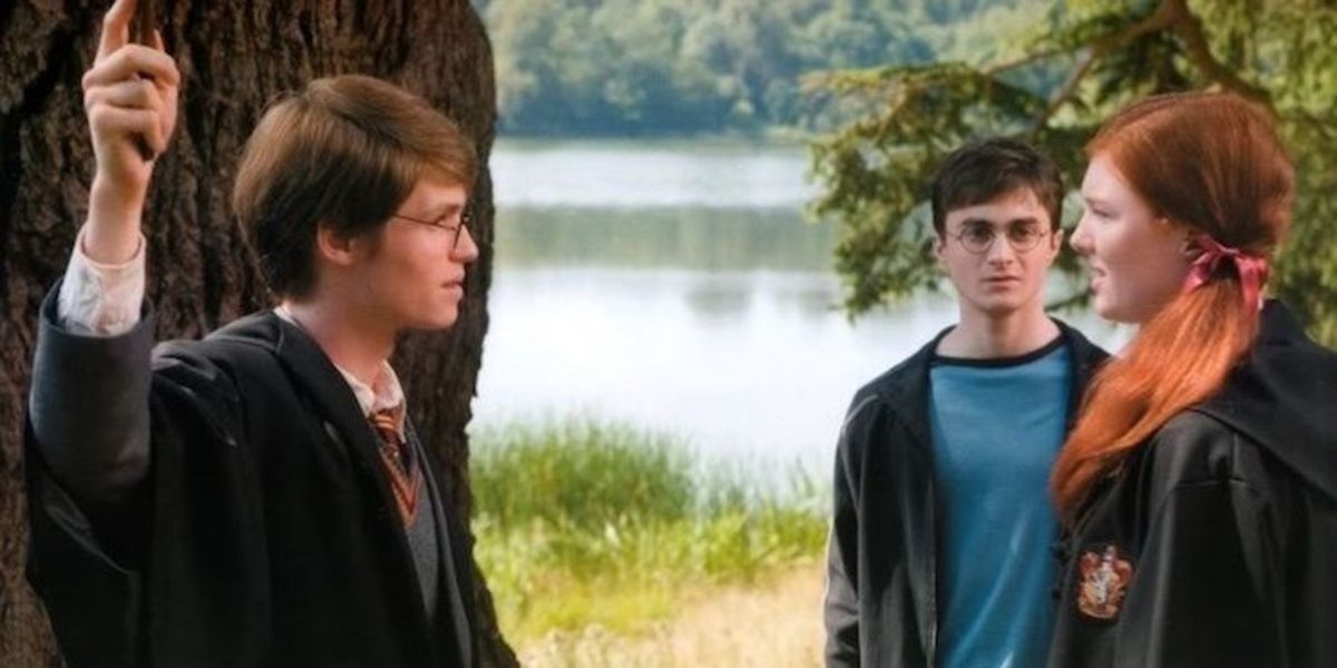 James Lily and Harry in Harry Potter.