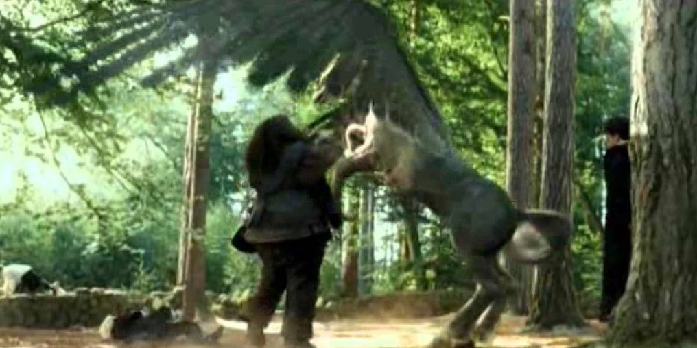 Draco injured by Buckbeak in Harry Potter