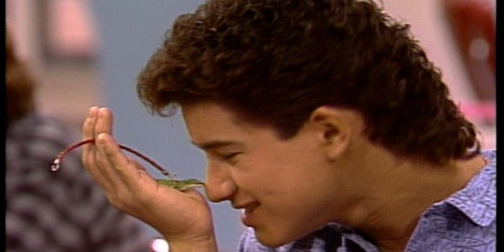 season 4 episode 23 of Saved by the Bell AC Slater and his chameleon Artie