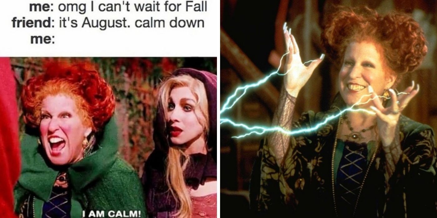 winifred sanderson meme about being calm for fall - hocus pocus