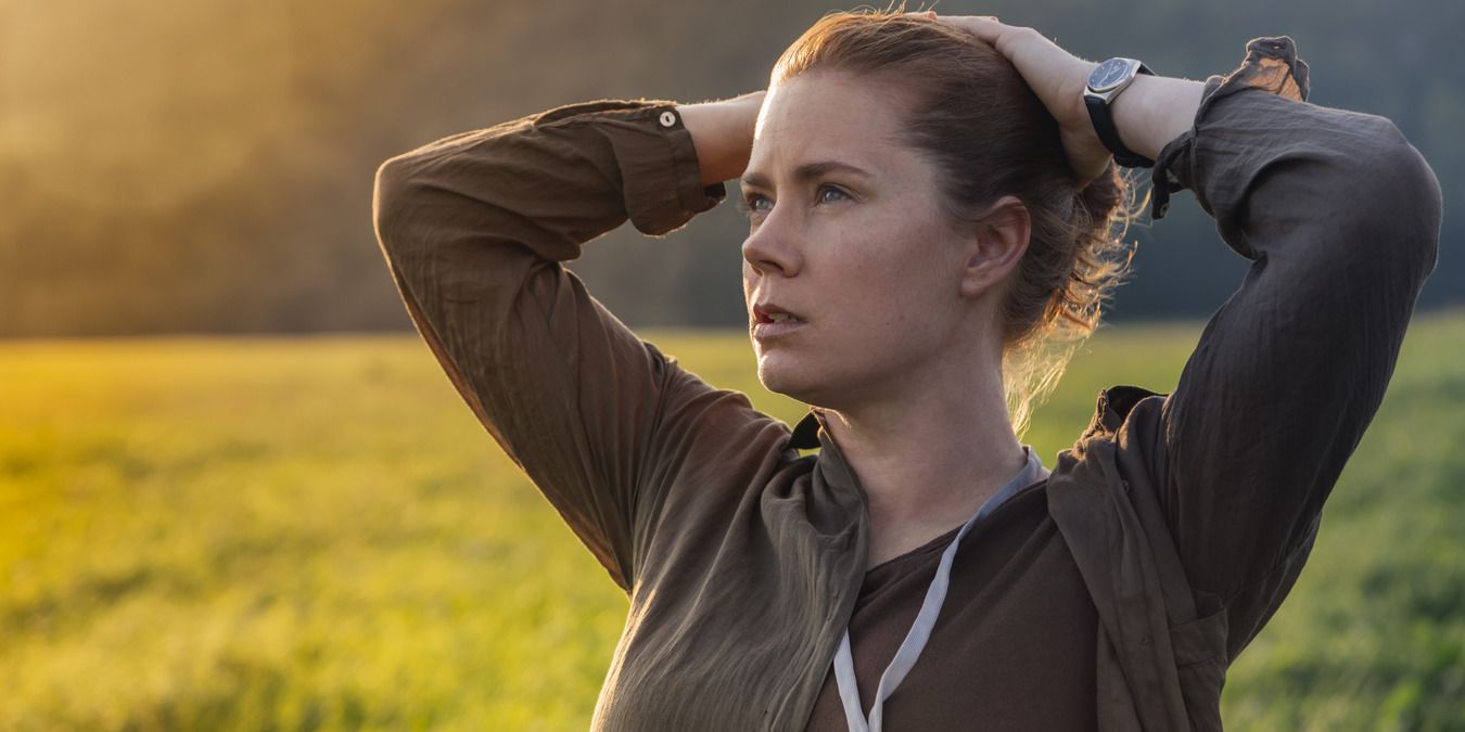 amy adams arrival