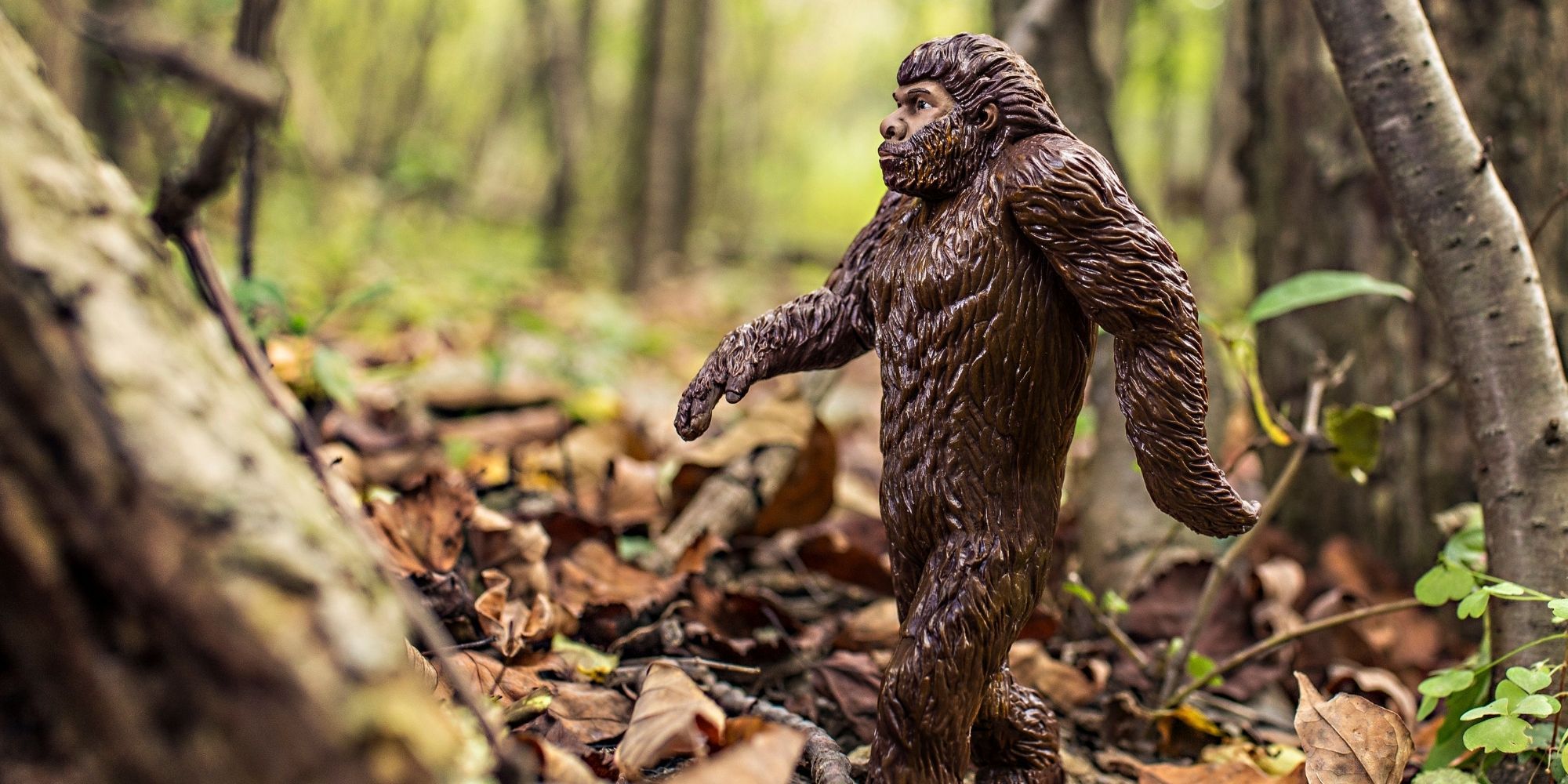 1.Bigfoot Toy in Forest