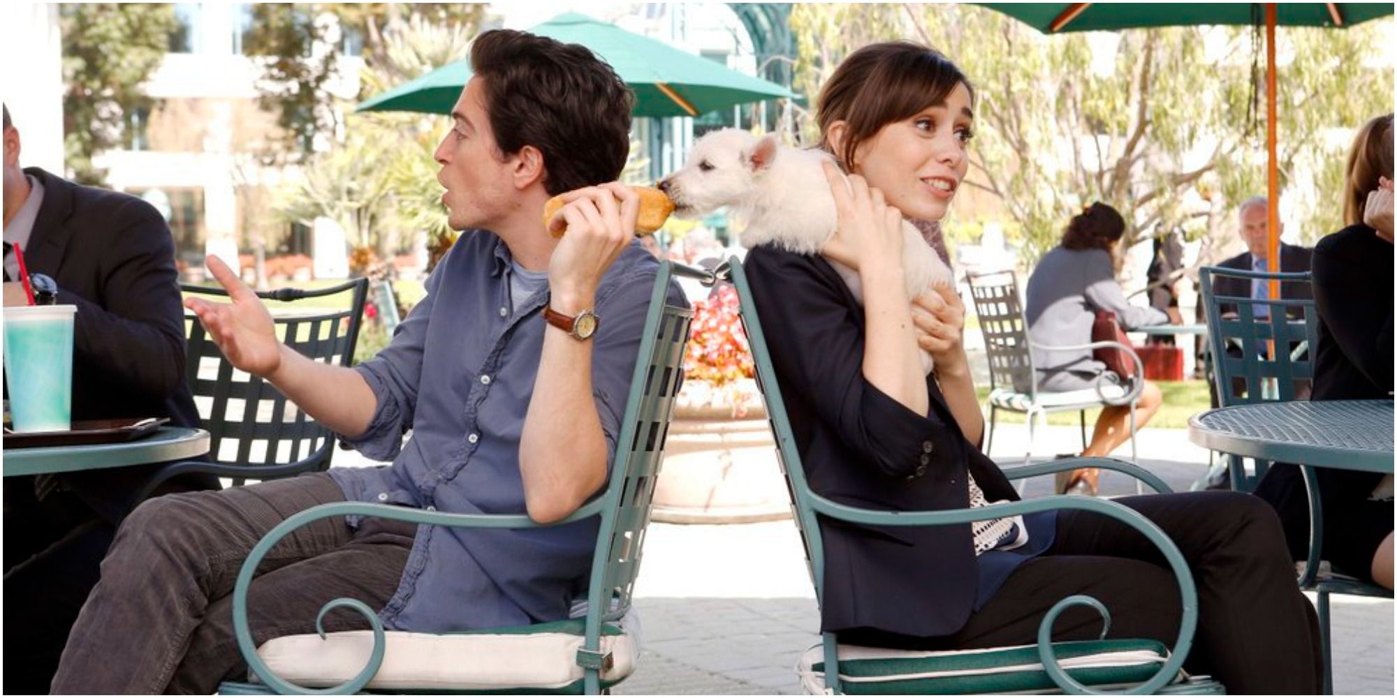 A screenshot of Andrew feeding Zelda&rsquo;s dog in A to Z