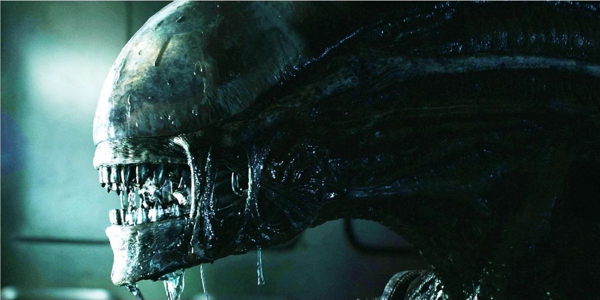 Xenomorph lurking