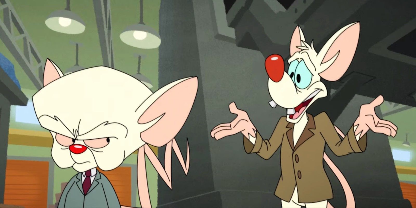 download pinky and the brain and animaniacs