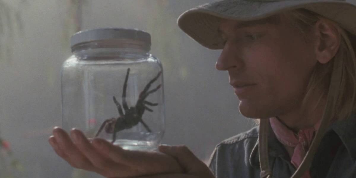 spider in jar
