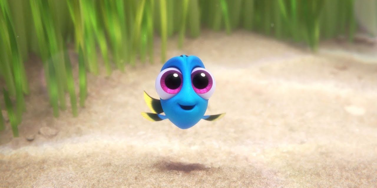Baby Dory in Finding Dory