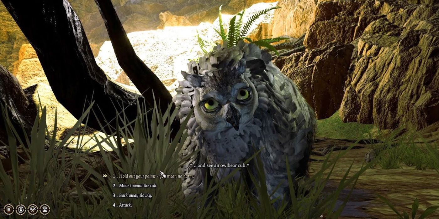Baldur's Gate 3 Owlbear Cub Dialogue