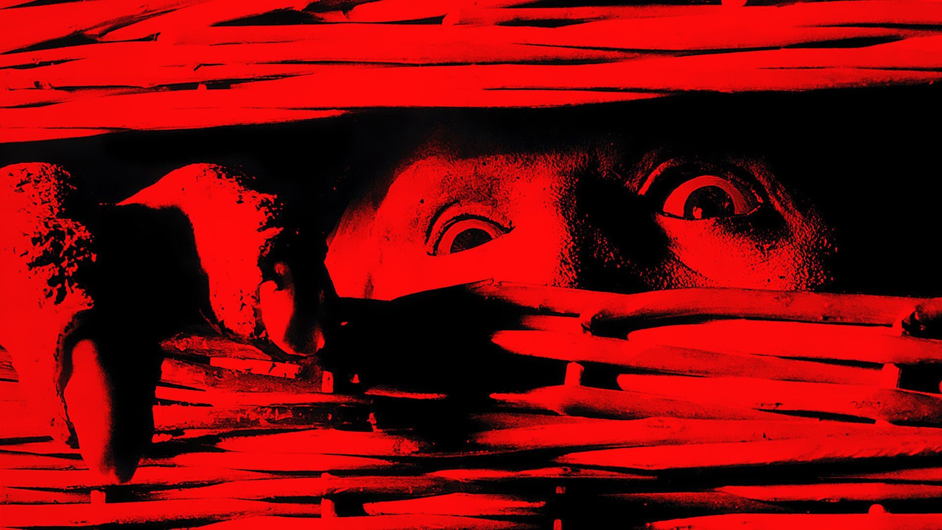Basket Case Movie