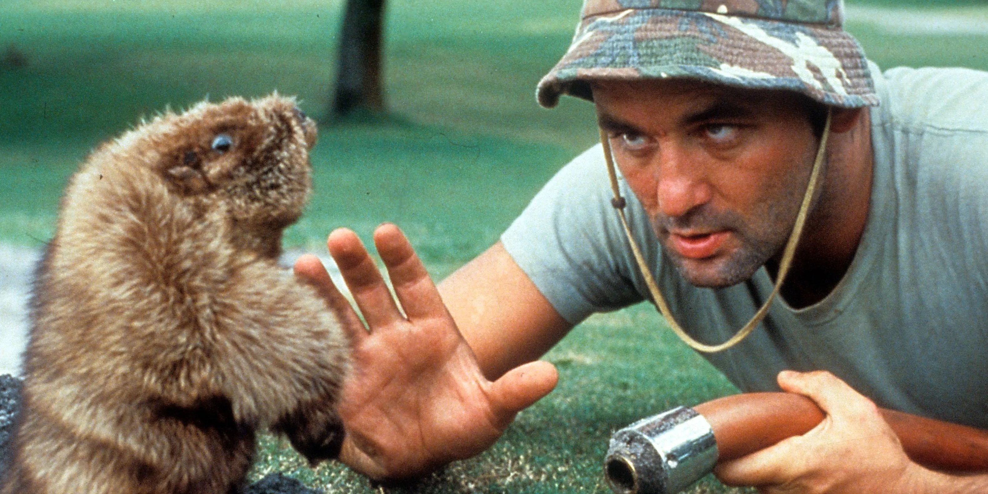 Bill Murray calmly approaches the gopher in Caddyshack