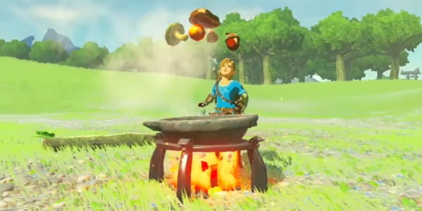 Link cooking over a fire in Breath of the Wild