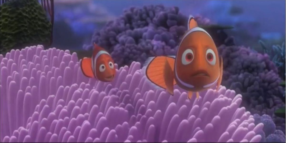 Coral and Marlin see the barracuda