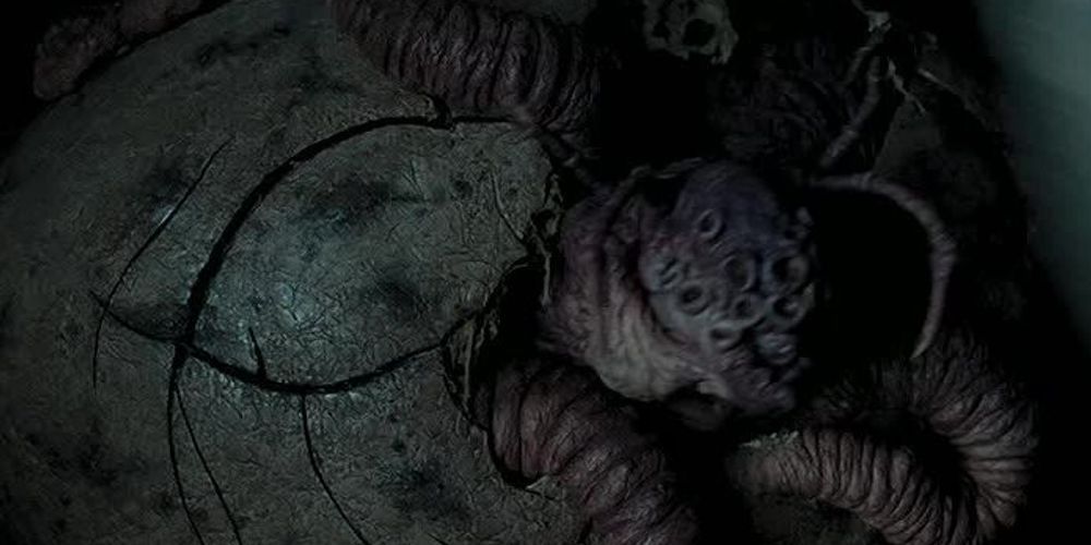 hagrid&rsquo;s plant
