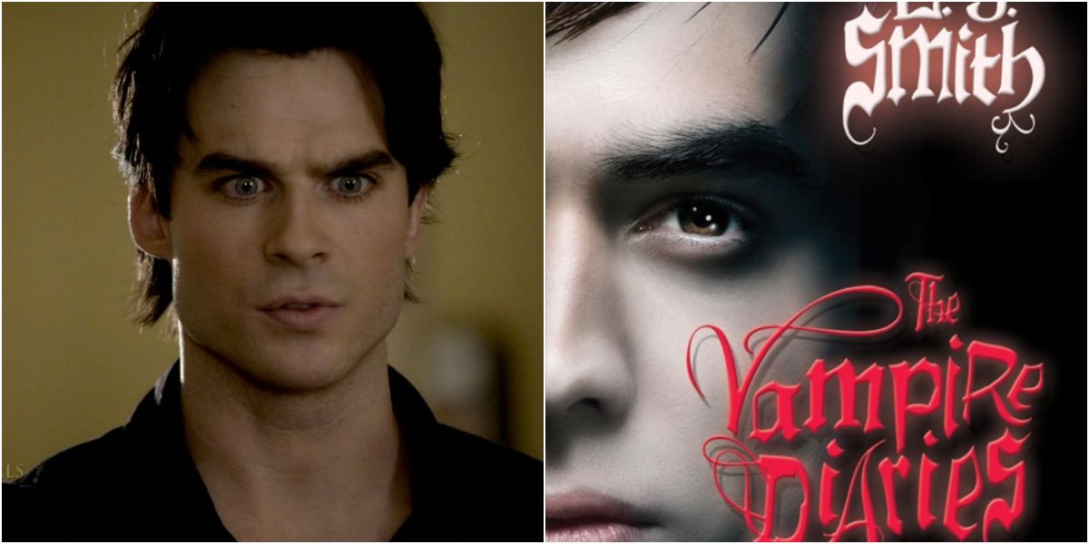 L.J. Smith Book and Damon Salvatore from Tv show